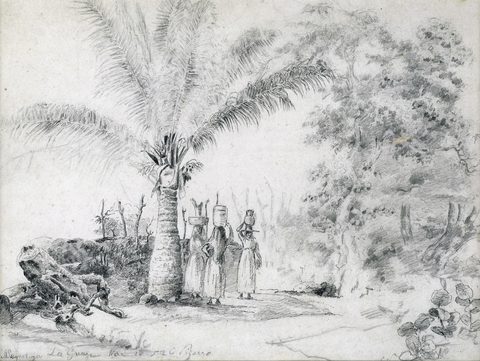 La Guaira